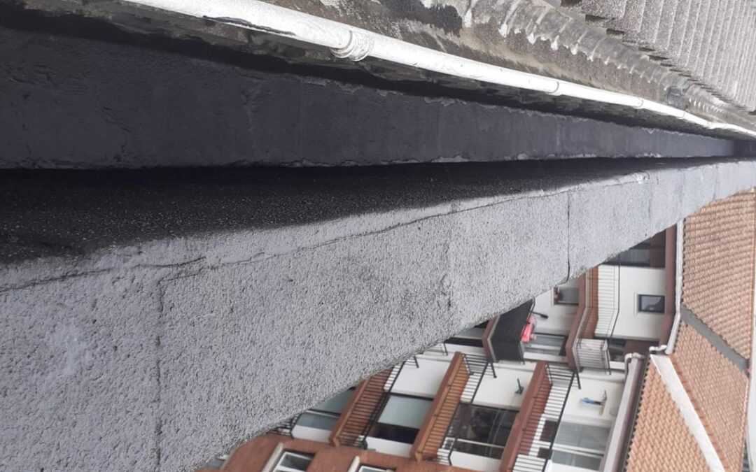 Limpieza de canalones con musgo y vegetación en Navarra | Caso real
