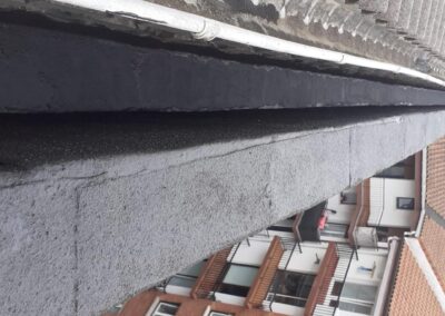 Limpieza de canalones con musgo y vegetación en Navarra | Caso real